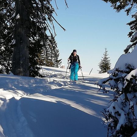 Pension Kasbergblick Scharnstein Екстер'єр фото