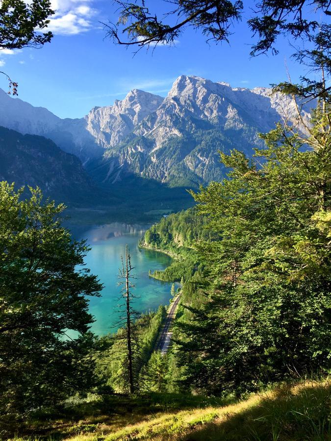 Pension Kasbergblick Scharnstein Екстер'єр фото