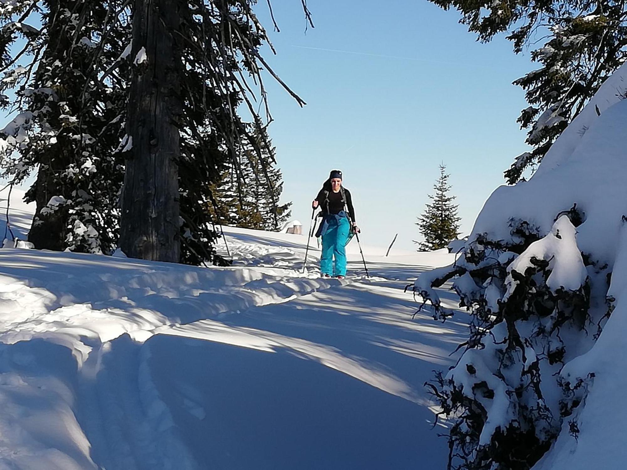 Pension Kasbergblick Scharnstein Екстер'єр фото